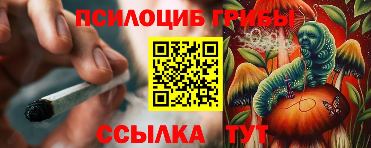 Верхняя Пышма  Псилоцибиновые грибы ЛСД  Вход с VPN 